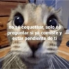 no sé coquetear, solo sé preguntar si ya comiste y estar pendiente de ti