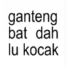 Meme Salting Lucu 13