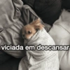 MODO PREGUIÇA 😴 13