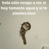 hola sólo vengo a ver si hoy tomaste agua y si te sientes bien @memasting
