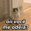 oii você me odeia?