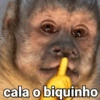 🐒 Macaco Engraçado  13
