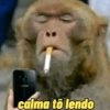 calma to lendo