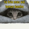 Memes frio 🥶 14