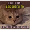 GOZLERINN.. COK GUZELLER @MIAWLABAKIM BIROMUR BAKABILIR MIYIM