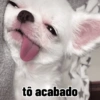 Melhores figurinhas  21
