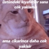 Kocama 23