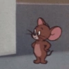 JERRY - TOM & JERRY 14