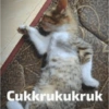 Cukurukuk Bakekok Meme 12