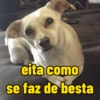 eita como se faz de besta