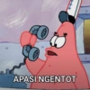 APASI NGENTOT