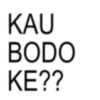 KAU BODO KE??