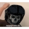 Cod 13