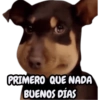 STICKERS PERROS SIN CONTEXTO🐶 13