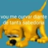 vou me curvar diante de tanta sabedoria