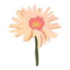 Bunga cantik 5