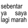 sebentar ya saya lagi marah