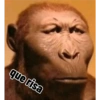 Sensuai xd 5