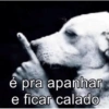 é pra apanhar e ficar calado