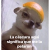 Memes xd 20