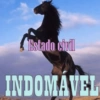 REAÇÕES ATUALIZADO 9