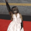 MACAQUINHOS  6