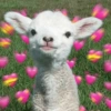 Bichinhos Fofos Cute 💕 11