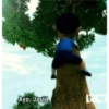 Sesat 12