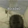 Macacos fofos 🐵🙈 8