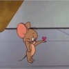 JERRY - TOM & JERRY 5