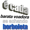 écada barata voadora se achando borboleta