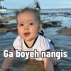 Dedek kamari 11
