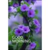 Good morning 9