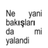 Brat 23