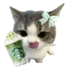 Cat meme makanan 🐈 6