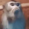 🙂 MI HUMILDE REACCIÓN 🙂 8
