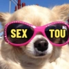 SEX του