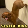 SEXTOU BIXA