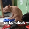 Cukurukuk Bakekok Meme 13
