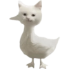 Kucing icon meme 12