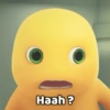 Haah?
