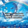 🦄🐬 Symphony Memes 1🐬🦄 9