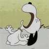 🐾Snoopy enojado 😡 2 🦴 11