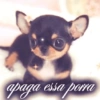 apaga essa porra