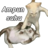 Ampun suhu