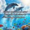 🦄🐬 Symphony Memes 1🐬🦄 21