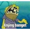 Anjing banget