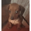 Oi posso fala 9