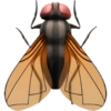 IPhone emoji animals 3 6
