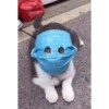Memes engraçados de gatos 7